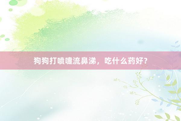 狗狗打喷嚏流鼻涕,吃什么药好?